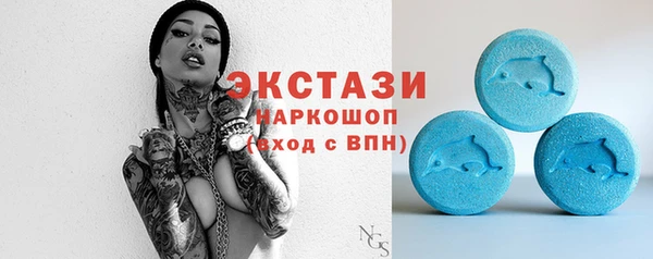 индика Пересвет