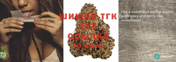 дмт Алзамай